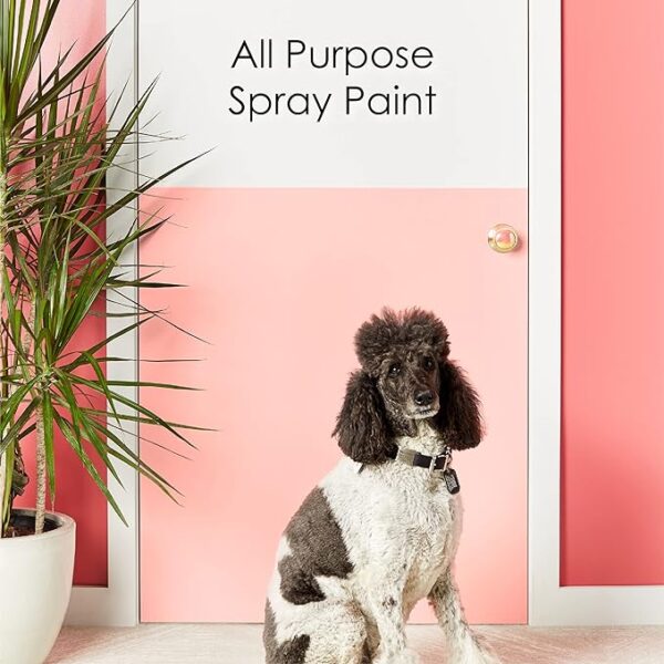 Krylon K05505007 COLORmaxx Spray Paint - Image 5